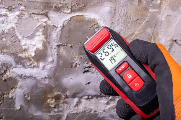 Trusted Cordova, AK Mold Removal Experts