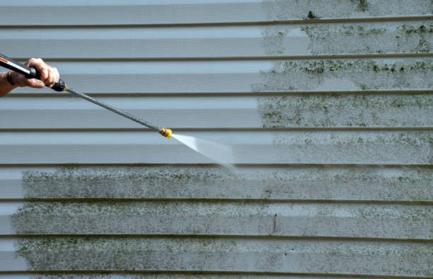 Best Certified Mold Removal  in Cordova, AK