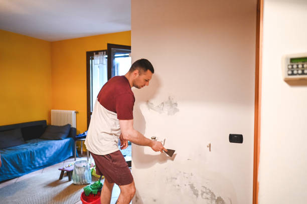 Best Certified Mold Removal  in Cordova, AK